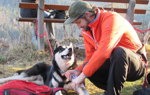 Husky-Trekking Bad Herrenalb - 5