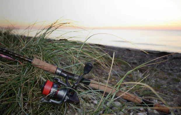 Meeresangeln Großenbrode - 6