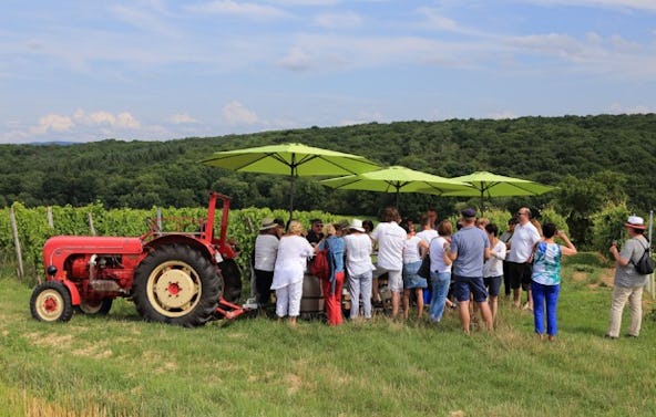 Weinprobe Schweinfurt