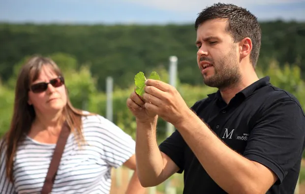 Weinprobe Schweinfurt - 5