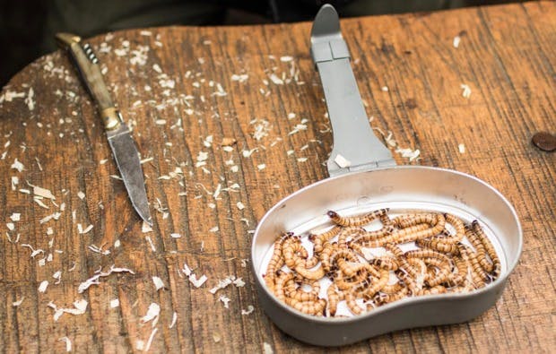 Survival Intensiv Kurs Rüthen (3 Tage) - 6