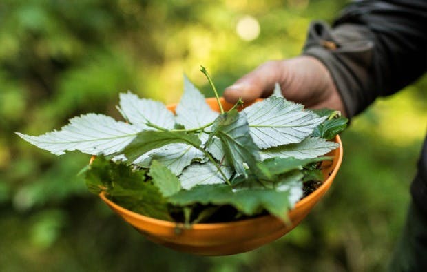 Survival Intensiv Kurs Rüthen (3 Tage) - 7