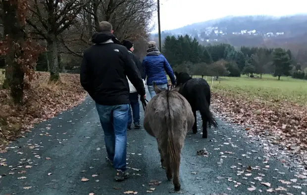 Esel Trekking Birstein - 5