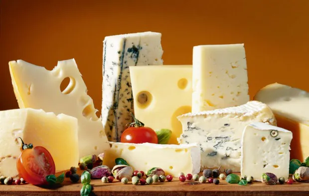 Whisky und Käse Verkostung Düsseldorf - 7