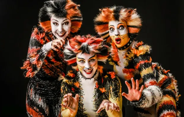 Musical Dinner Offenbach - 5