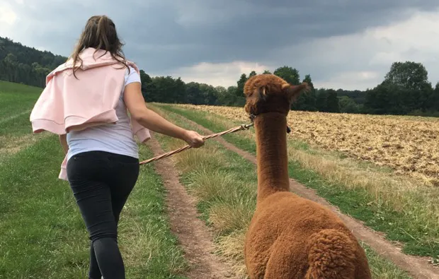 Alpaka Wanderung Heiligenstadt für 2 - 5