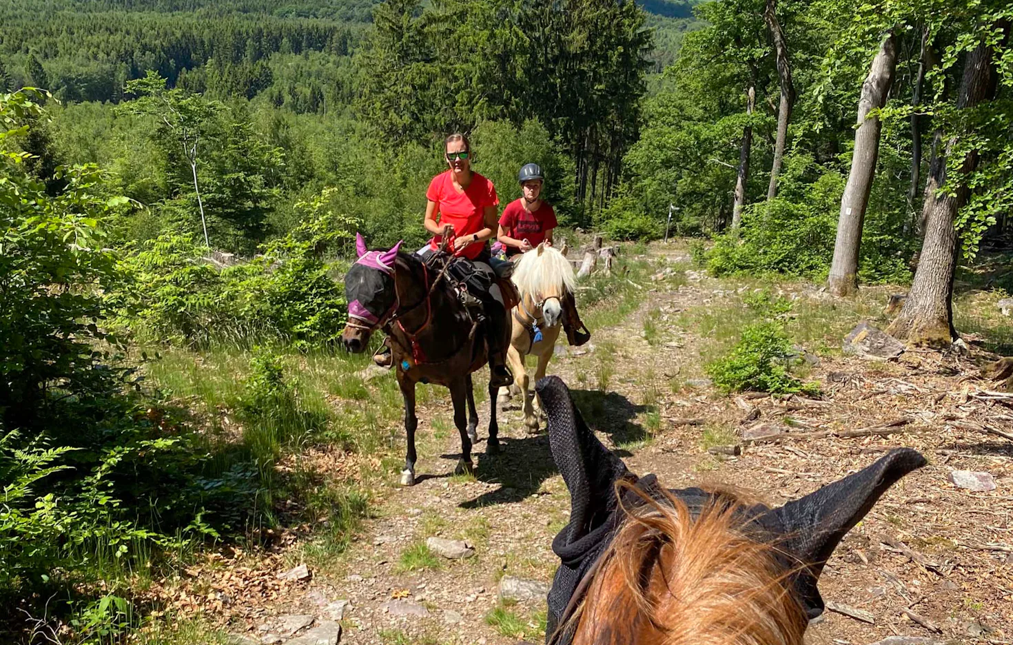 Wanderreiten Aschbach - 2