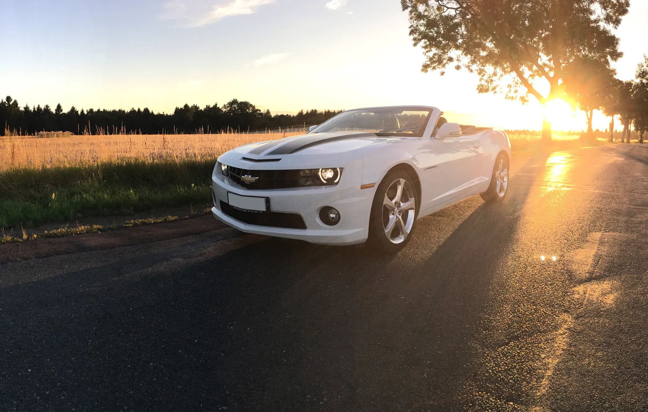 Chevrolet Camaro Tagestour Thale - 5