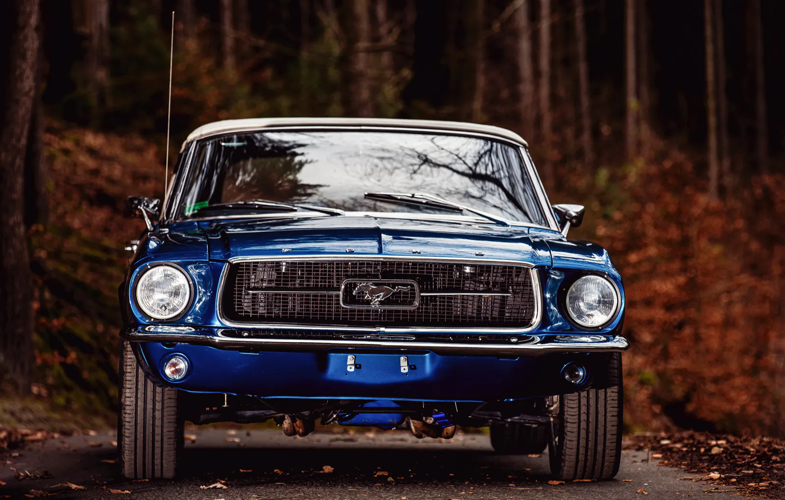 Mustang Oldtimer fahren 1 Tag (Mo.-Do.) Anzing bei München - 5