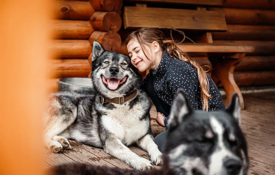 Husky Wanderung Fürstenberg / Havel - 1