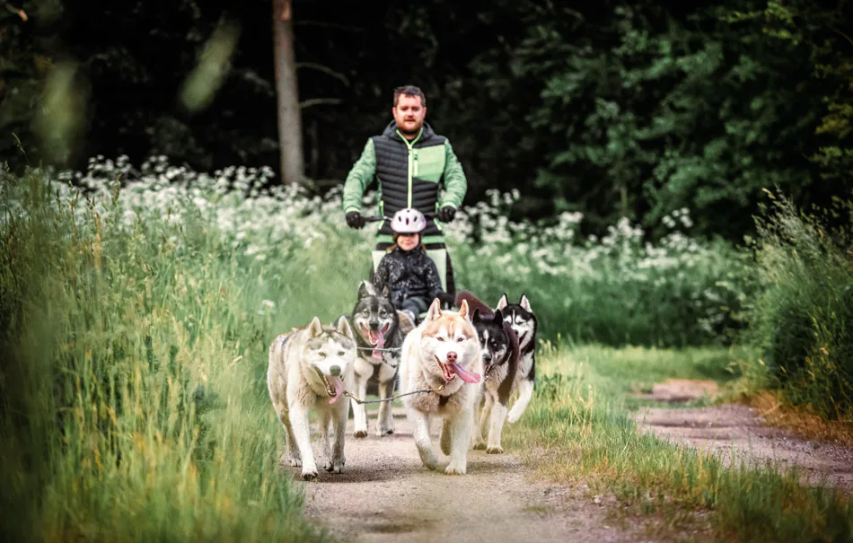 Husky Wanderung Fürstenberg / Havel - 3