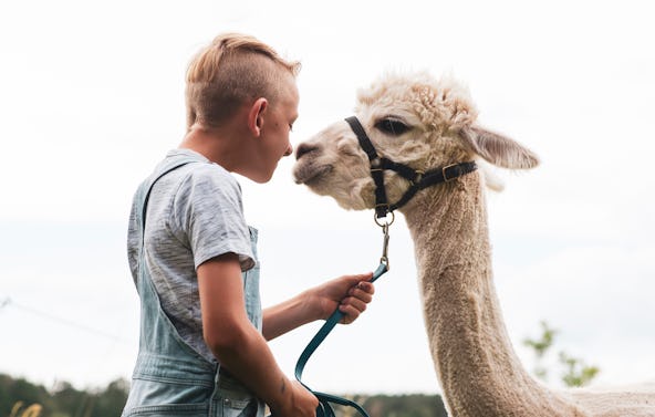 Alpaka Wanderung Münnerstadt für 2