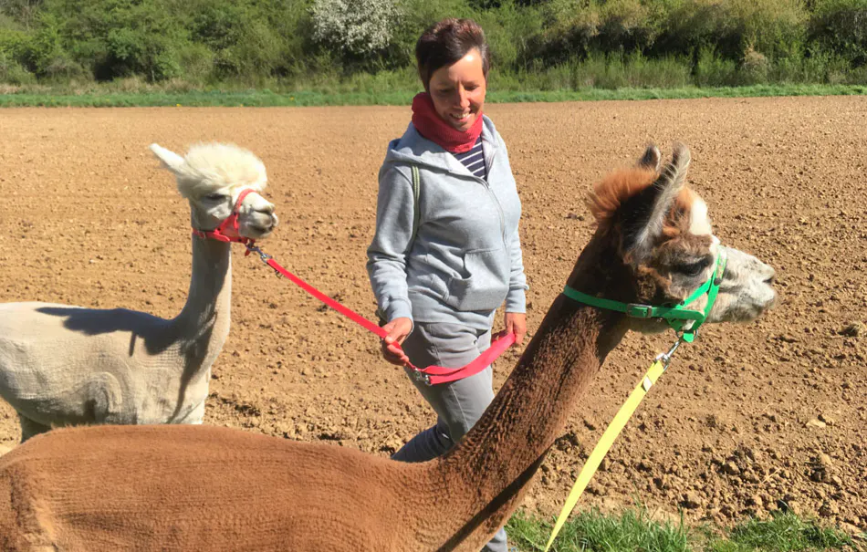 Alpaka Wanderung Arnstein für 2 - 5