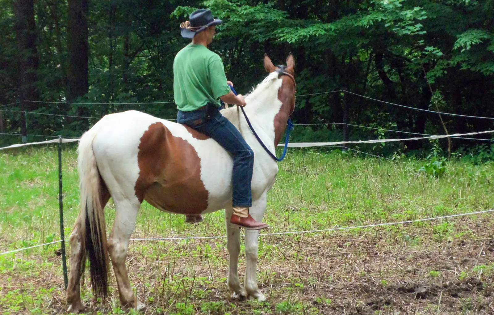 Ein Tag auf dem Reiterhof Weißenborn - 5