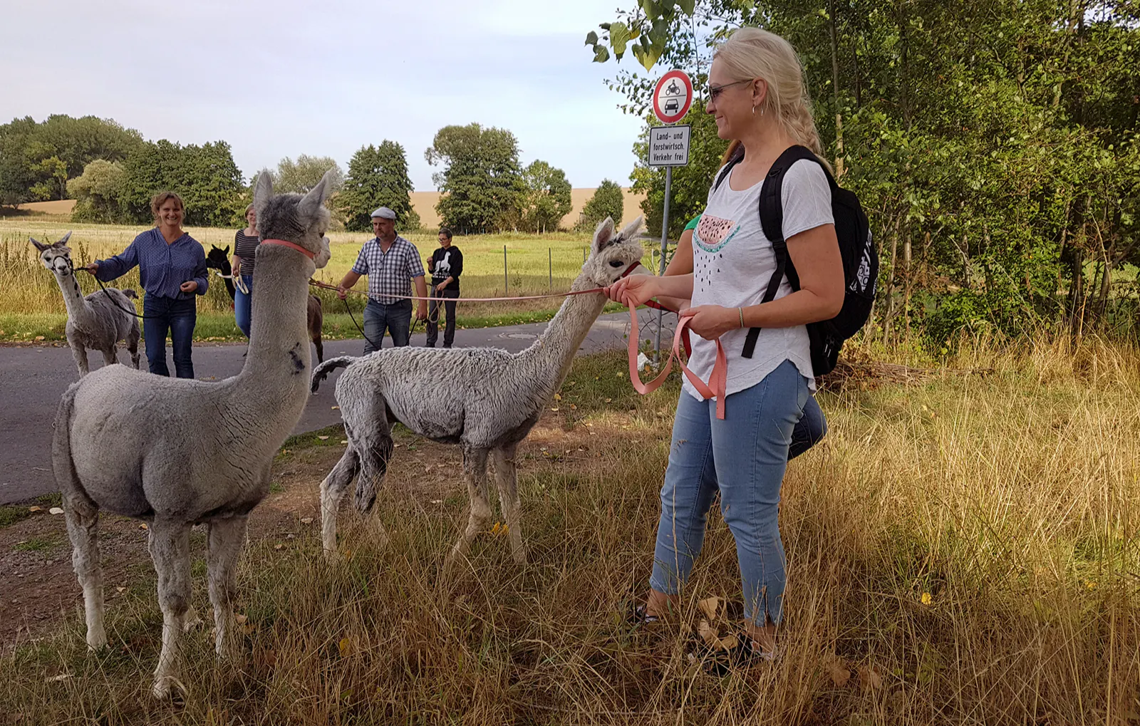 Alpaka Spaziergang Wiederoda - 5