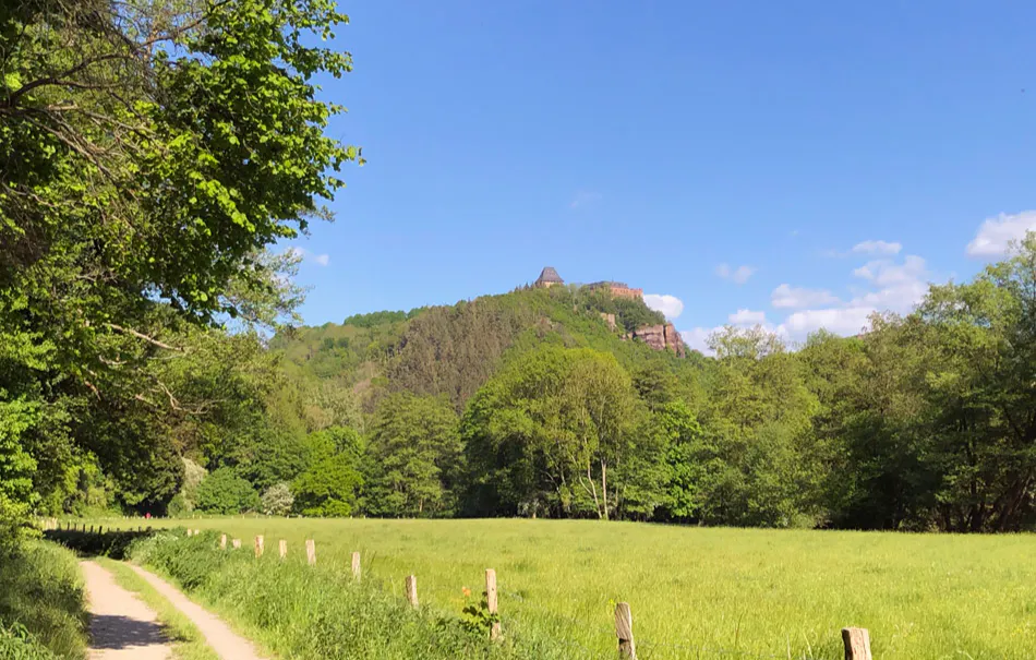 Mountainbike Tour Hürtgenwald - 5