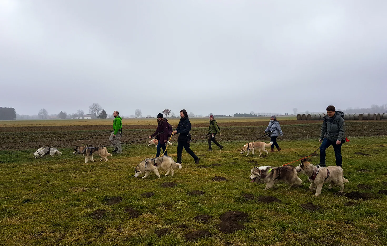 Husky Wanderung Wiedergeltingen - 3
