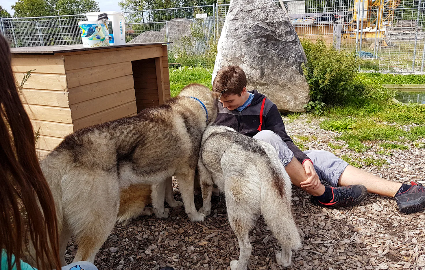 Husky Wanderung Wiedergeltingen - 4