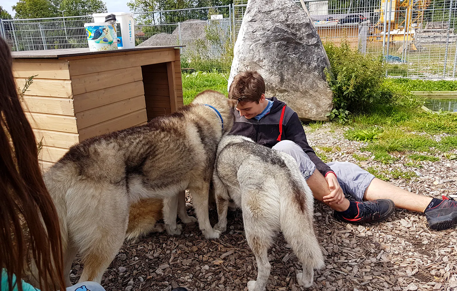 Husky Wanderung Wiedergeltingen für 2 - 5