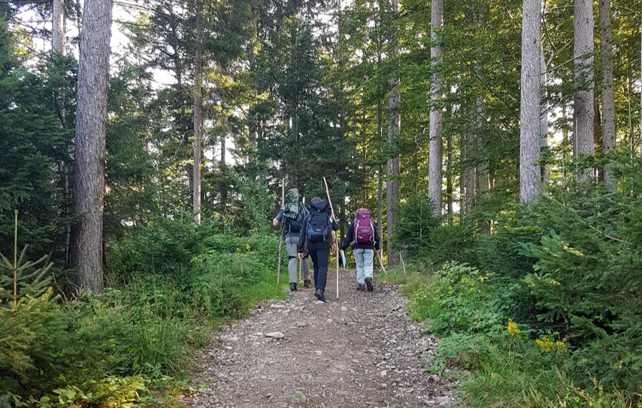 Bogenschießen Bad Peterstal-Griesbach - 5