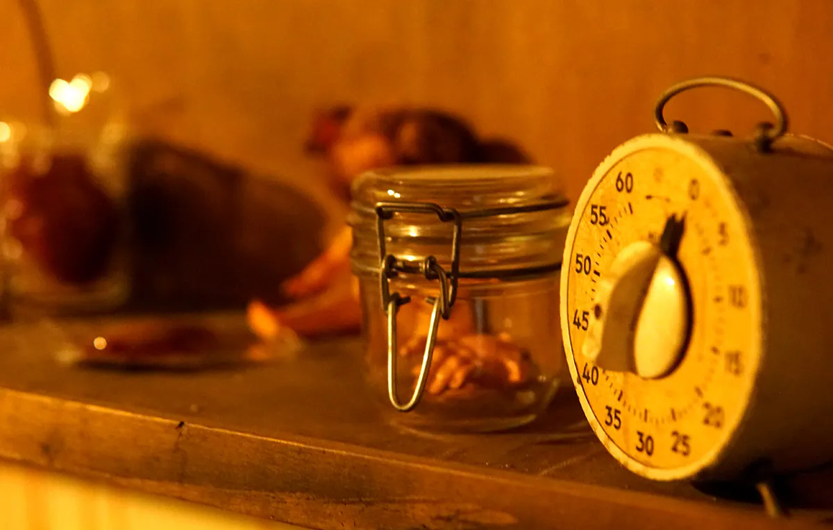 Escape Room Brühl - 5