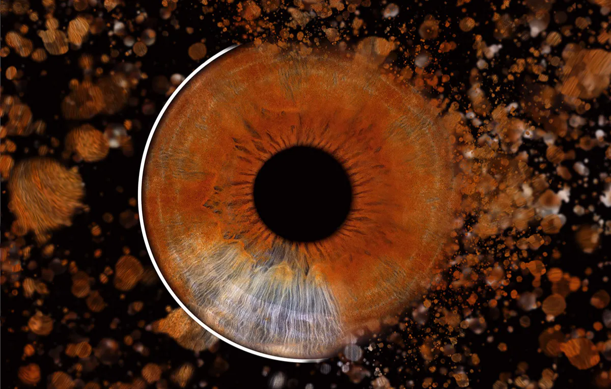 Iris Fotoshooting Düsseldorf - 5