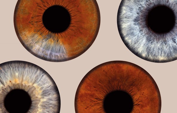 Iris Fotoshooting Dortmund