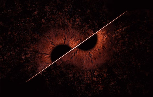 Iris Fotoshooting Wiesbaden