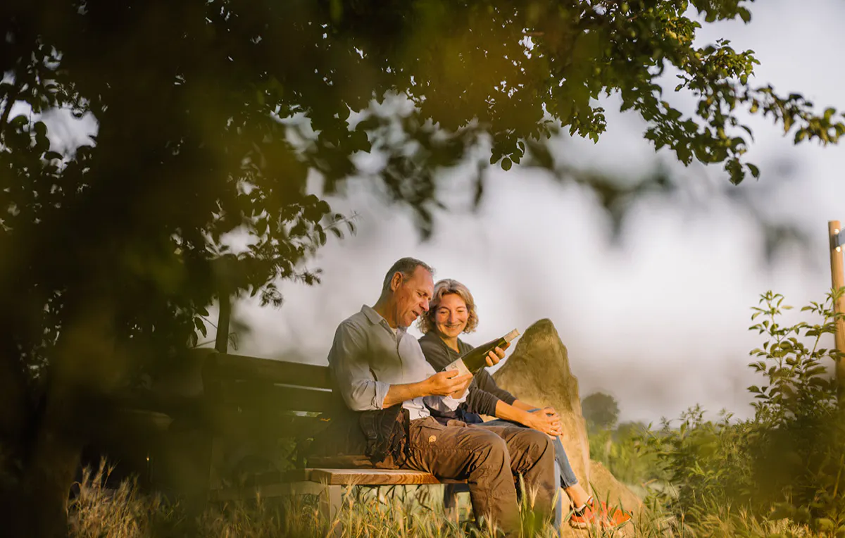 Genusswandern in Rheinhessen Mommenheim für 2 (1 Nacht) - 6