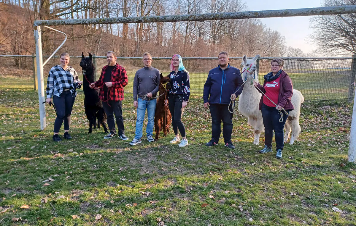 Alpaka Spaziergang Schönau-Berzdorf - 5