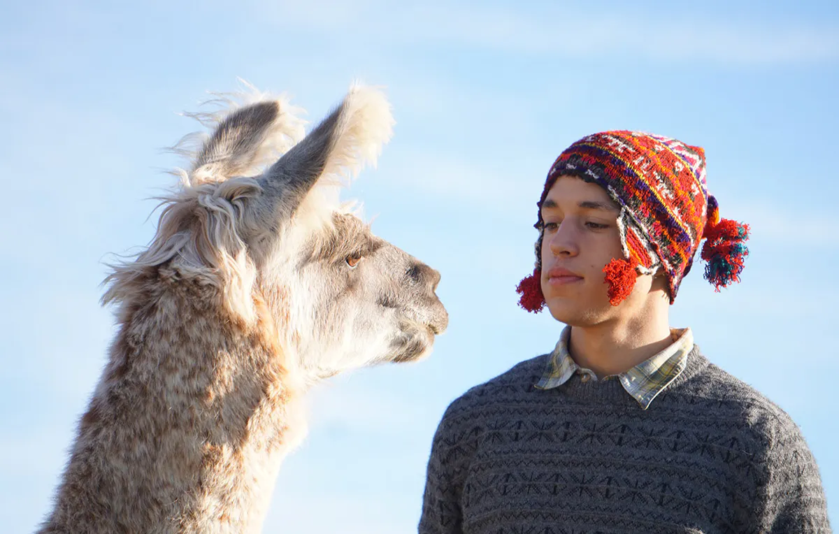 Lama Trekking Bärnau - 5