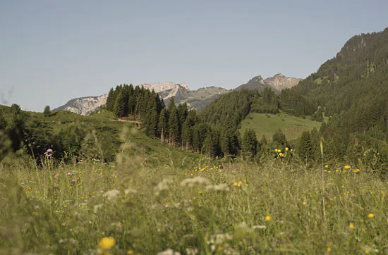 Aktivurlaub in Reutte für 2 - 6