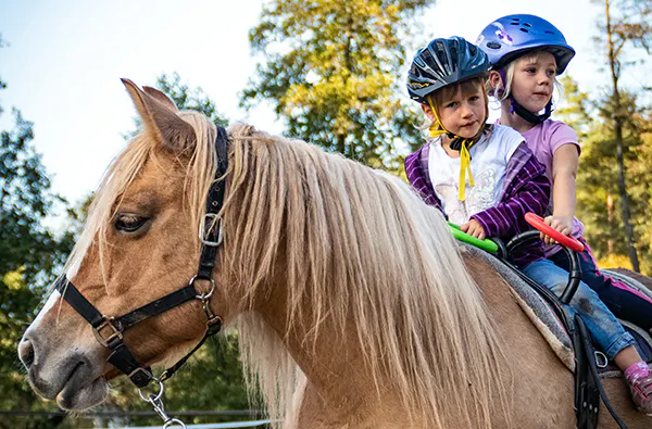 Bauernhof Erlebnistag Waldenbuch - 5