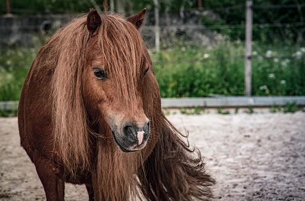 Bauernhof Erlebnistag Waldenbuch - 6