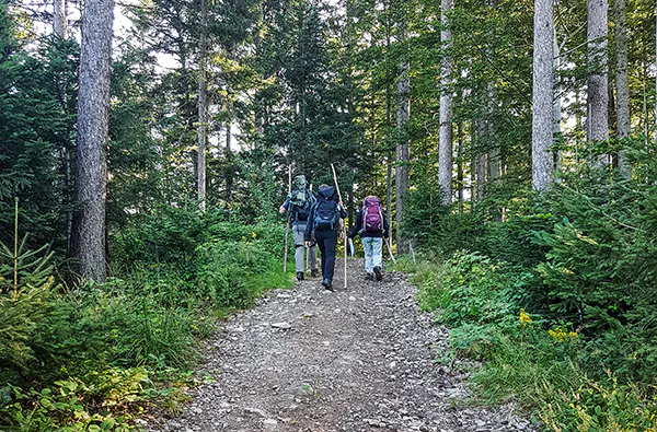 Bogenschießen Bad Peterstal-Griesbach - 5