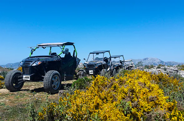 Side by Side Buggy fahren (8 Stunden)