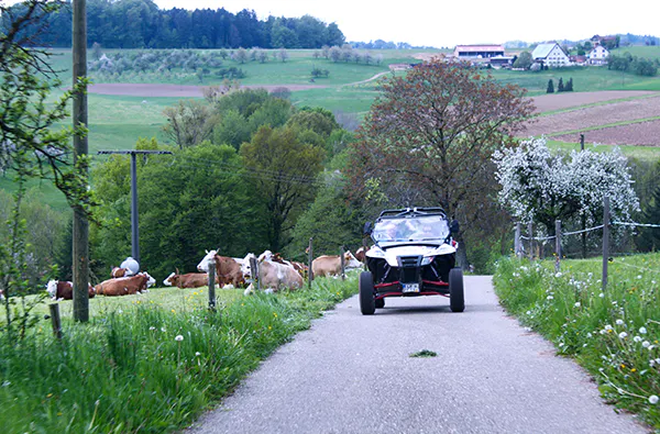 Side by Side Buggy fahren (8 Stunden) - 5