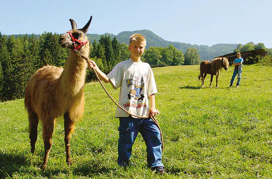 Familien-Kurzurlaub im Bio-Hotel in Kärnten für 4 - 8