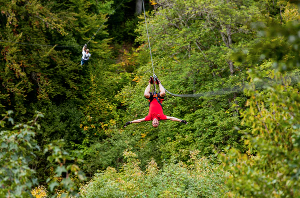 Flying Fox Berlingen (2,5 Std.) - 2