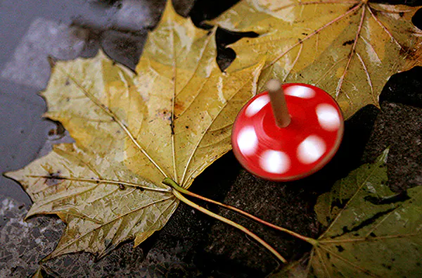 Privater Fotokurs online - 5