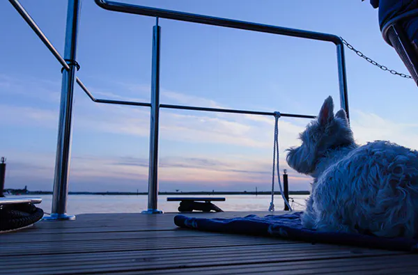 Hausboot mieten Wendtorf für 2 (2 Nächte) - 5