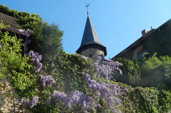 Historisches Bier brauen in Schlüchtern-Elm - 7