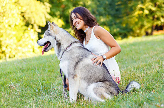 Husky Knuddelzeit in Goch - 1