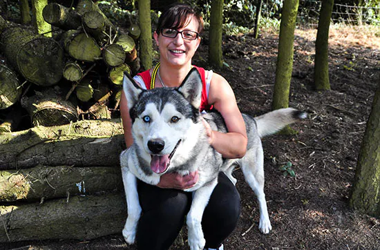 Husky Knuddelzeit in Goch - 6