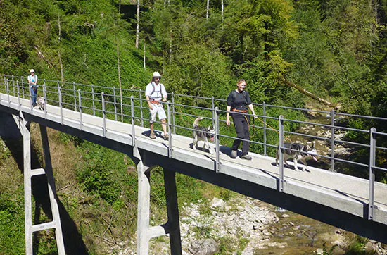 Husky-Trekking am Walensee - 5