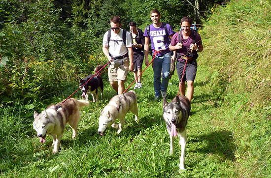 Husky-Trekking am Walensee - 6