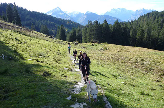 Husky-Trekking am Walensee - 7
