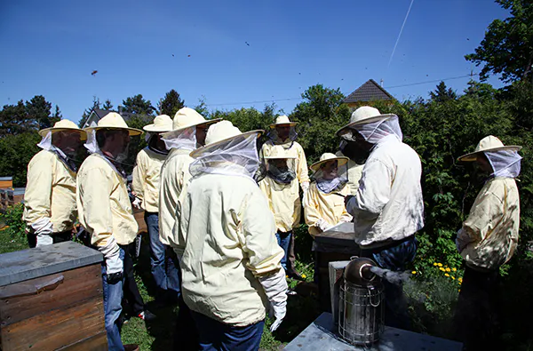 Imkerkurs Berlin - 5