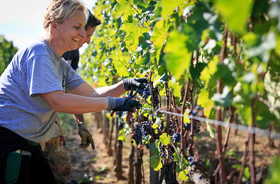 Landgut-Urlaub in der Toskana für 2 (4 Tage) - 7