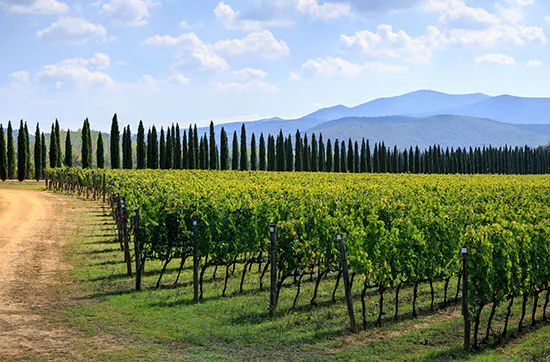 Landgut-Urlaub in der Toskana für 2 (4 Tage) - 6